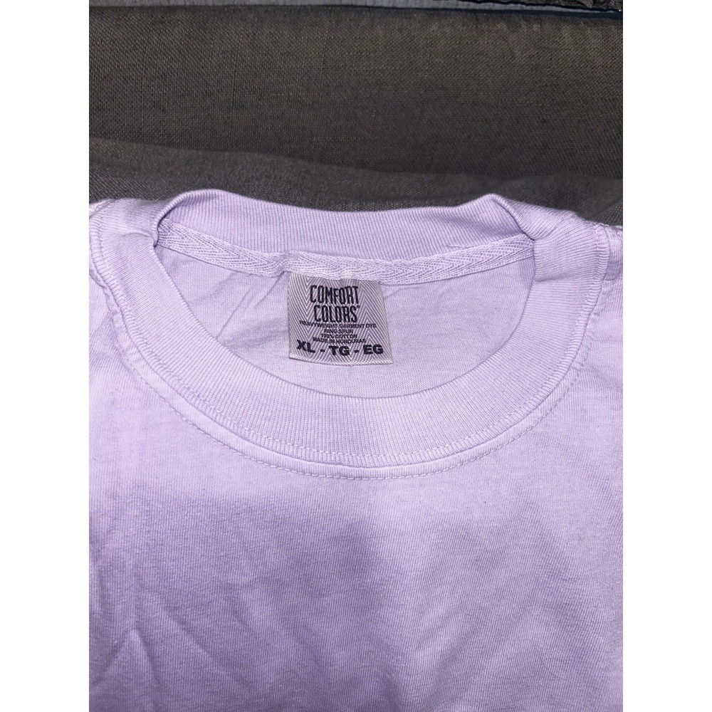Comfort Colors Women's Size XL  Tshirt "In My Disney Era" Lilac Purple - Picture 2 of 3